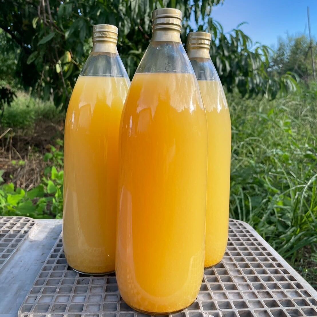 【軽井沢セレクト】信州産100%りんごジュース2本セット(シナノリップ、サンフジ)