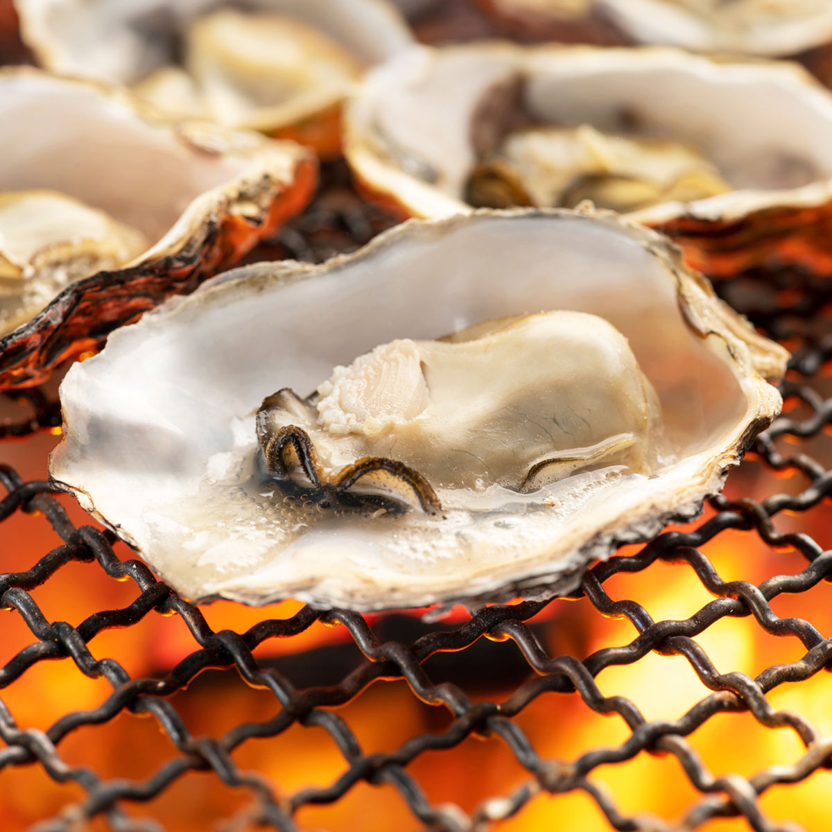 赤穂・坂越産　牡蠣ギフトセット（殻付き2㎏+むき身500g）