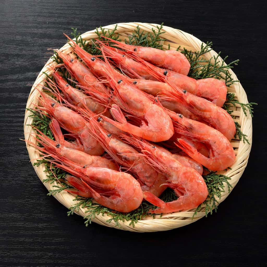 とろける濃厚な甘み＆ねっとり食感 浜坂産 船凍甘えび 500g（40～45尾）｜ザ グラン リゾート 天の橋立セレクト