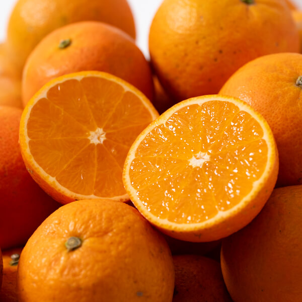 【今期分終了】屋久島の恵み 濃厚×ジューシーなたんかん（贈答用 5kg：Mサイズ/ Lサイズ）｜ヴィラ・コンコルディアセレクト