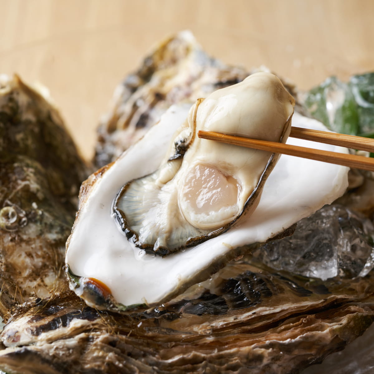 赤穂・坂越産　牡蠣（殻付き）