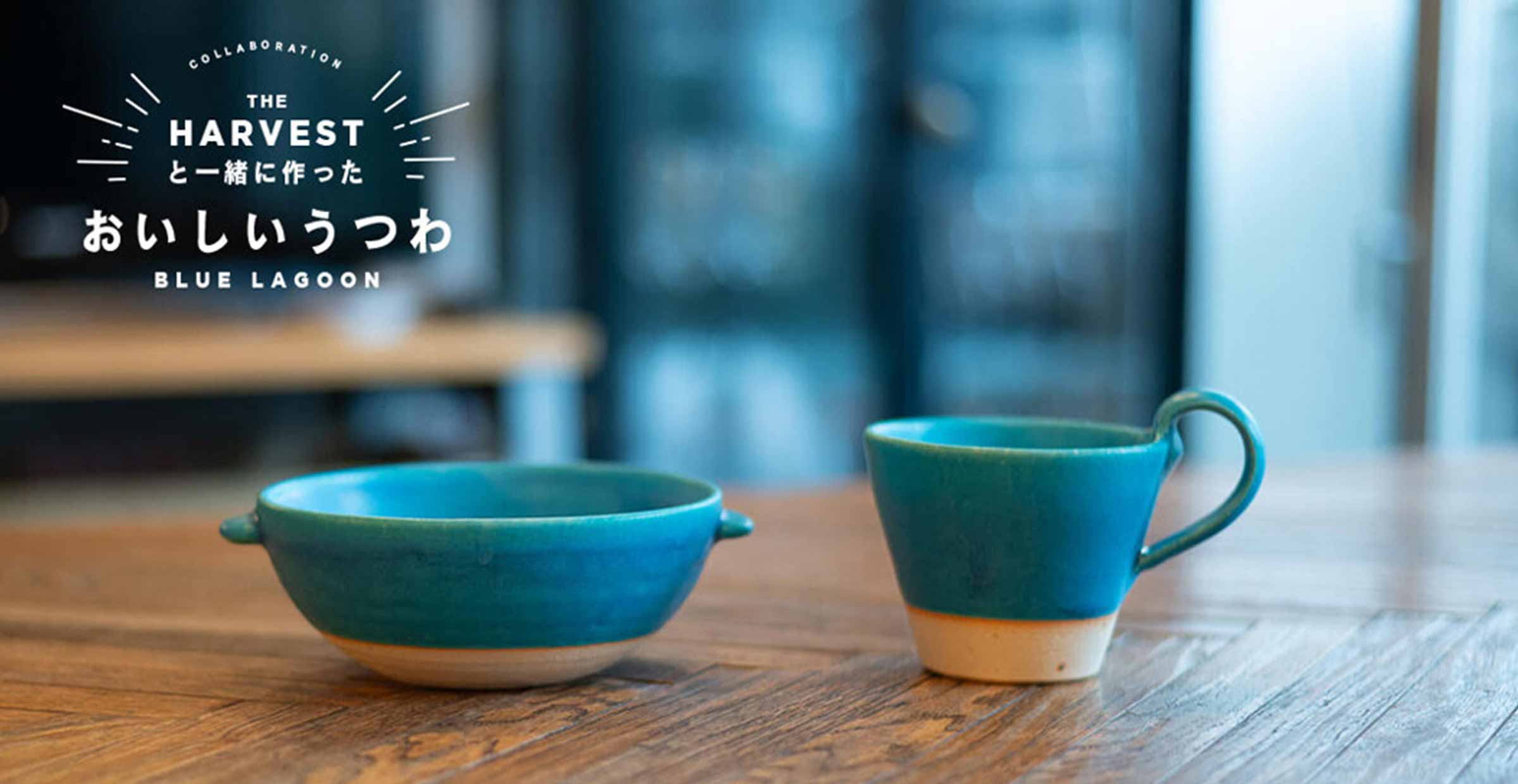 【信楽焼】おいしいうつわ「ブルーラグーン」