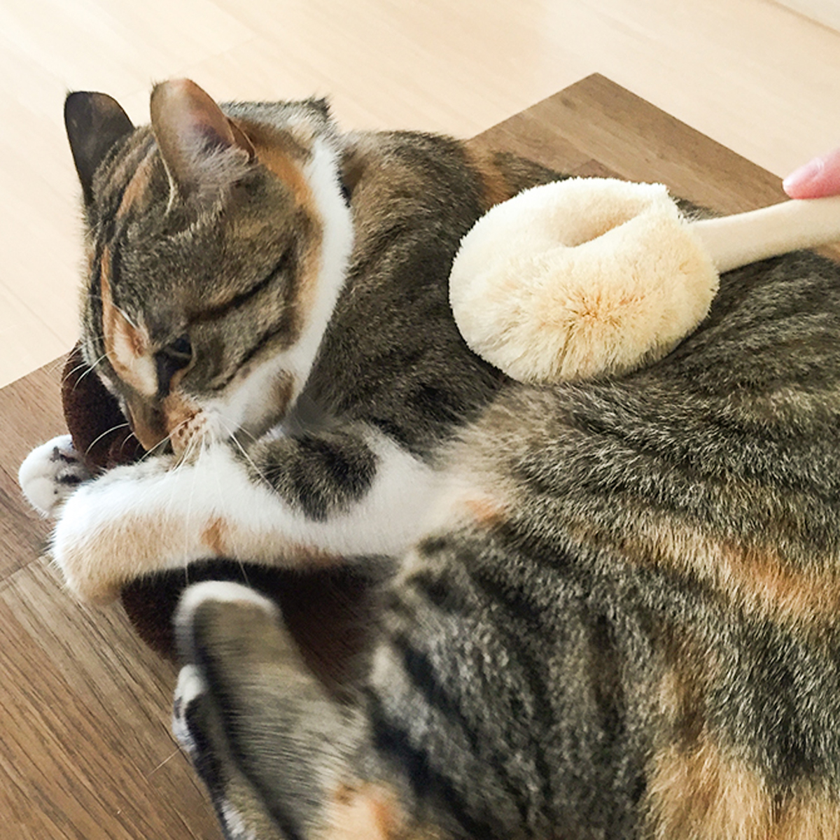 【北山正積商店】 ペット用たわし ネコ用