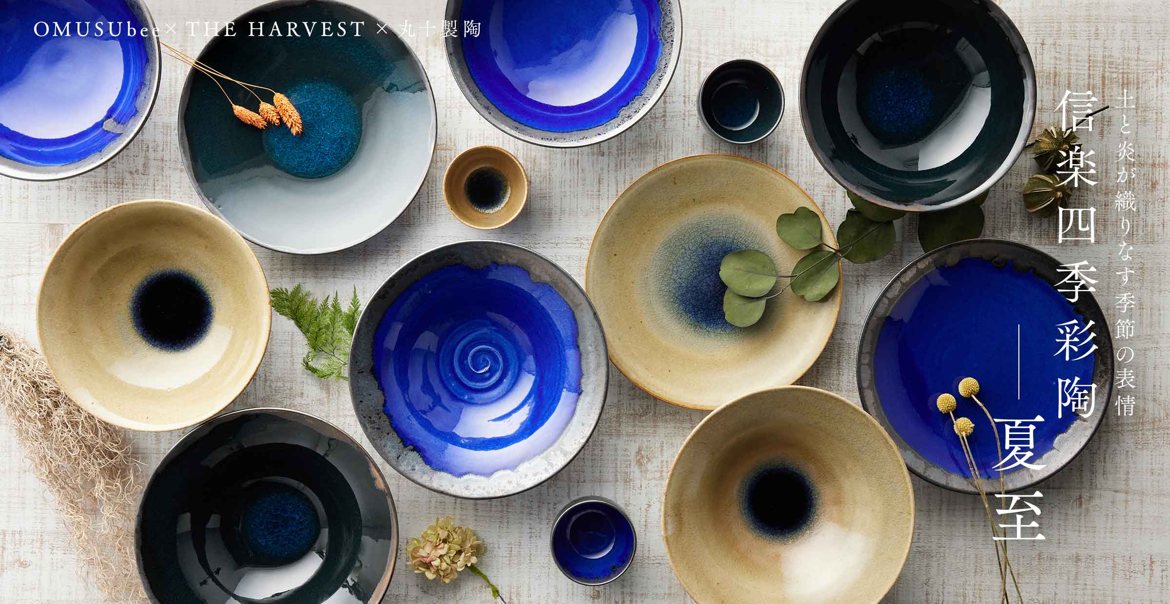 【信楽焼コラボ第8弾】特別な夏のうつわ『四季彩陶 - 夏至（げし）』