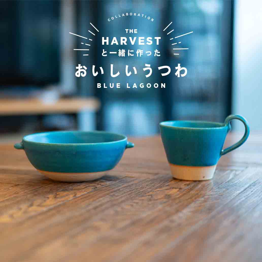 【信楽焼】おいしいうつわ「ブルーラグーン」