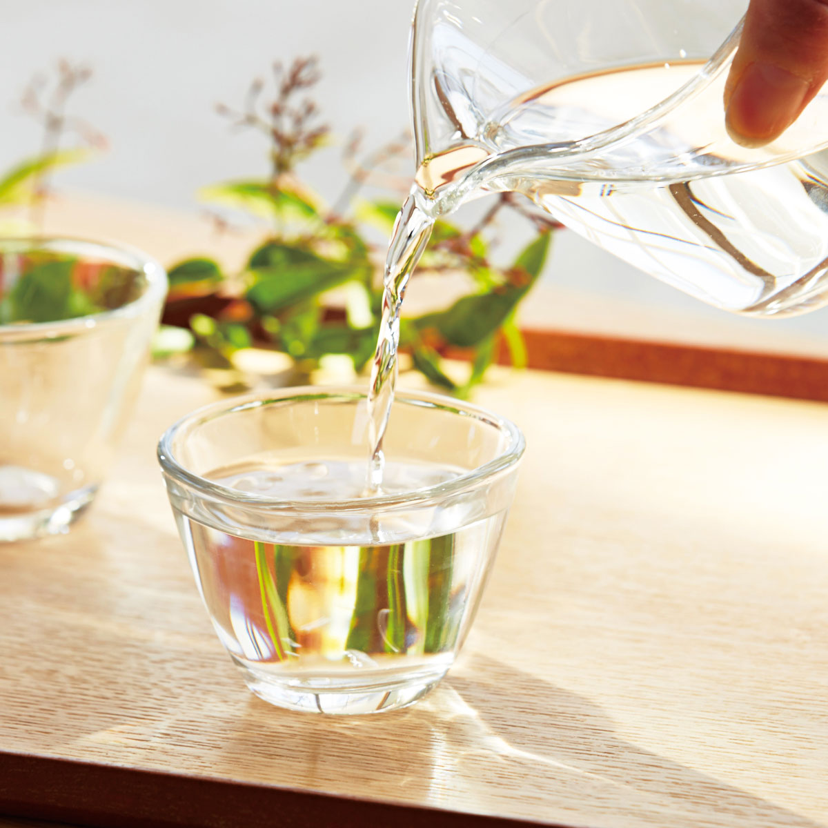 陶器のようなやさしい風合い　Tebineri 吟醸 90ml｜アデリア