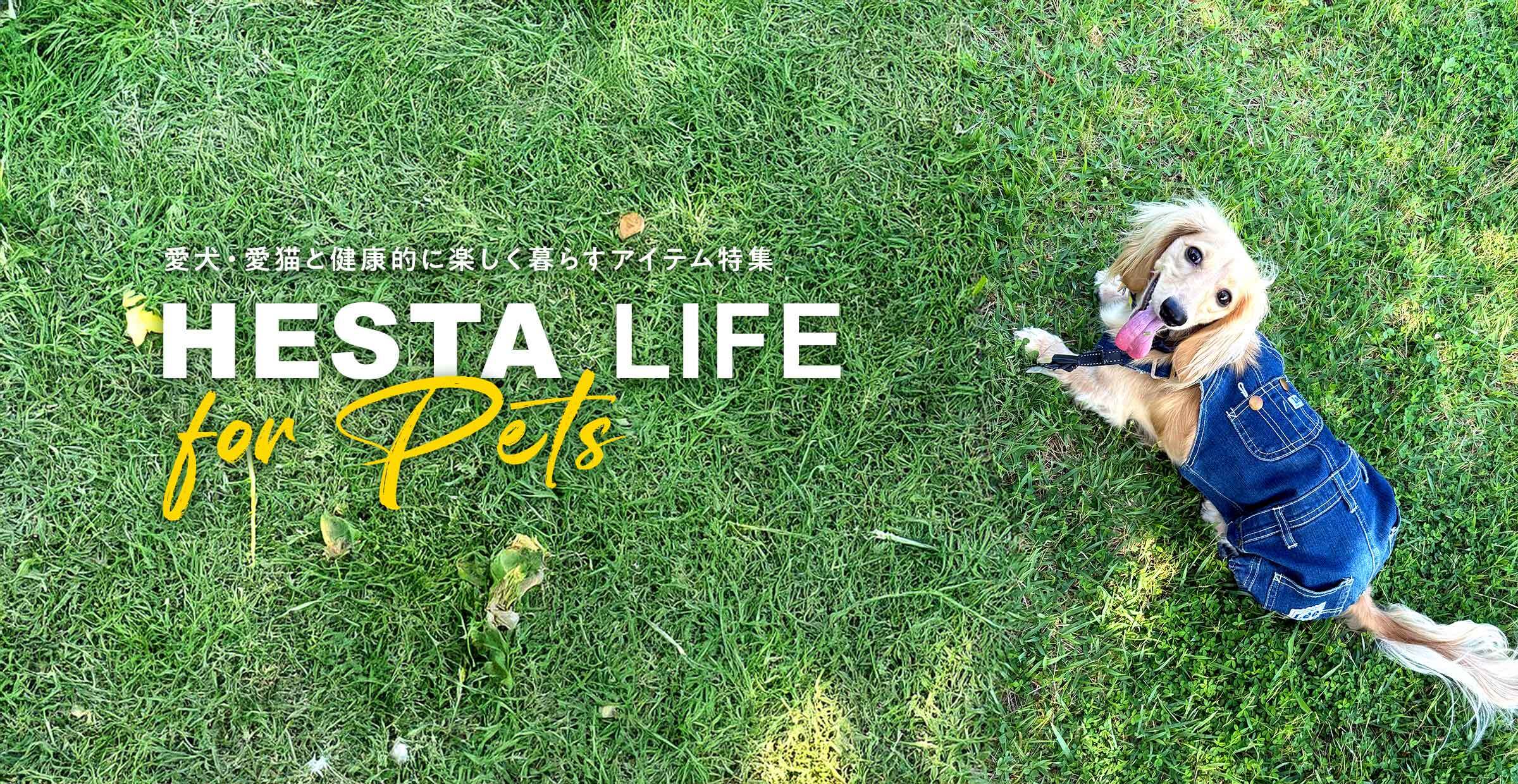 【特集】愛犬・愛猫と健康的に楽しく暮らすアイテムを♪｜HESTA  LIFEの『ペットグッズ』