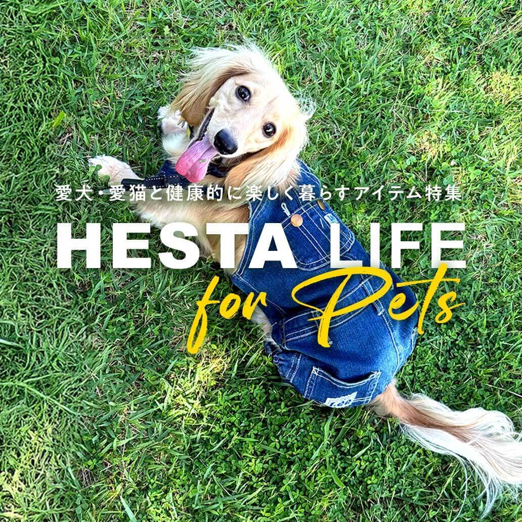 【特集】愛犬・愛猫と健康的に楽しく暮らすアイテムを♪｜HESTA  LIFEの『ペットグッズ』