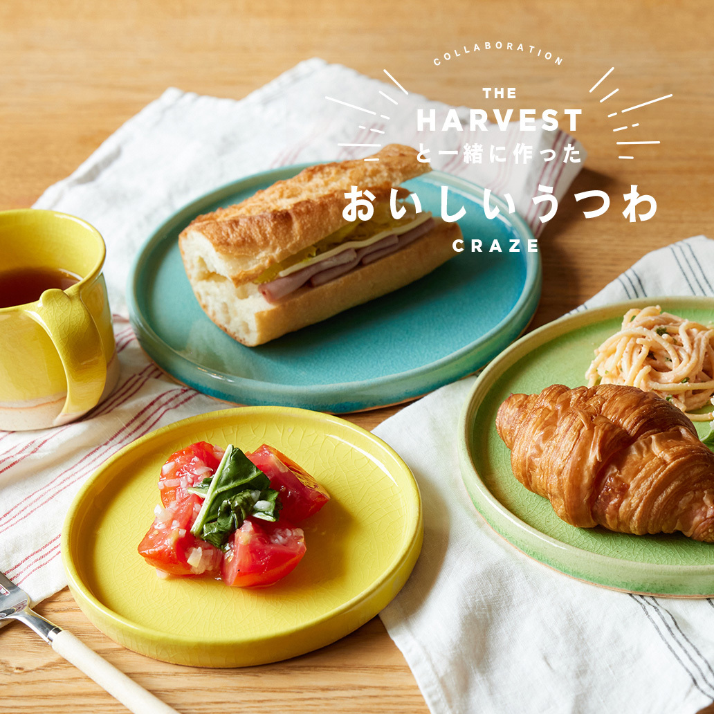 信楽焼のおいしいうつわ『CRAZE クレイズ』シリーズ