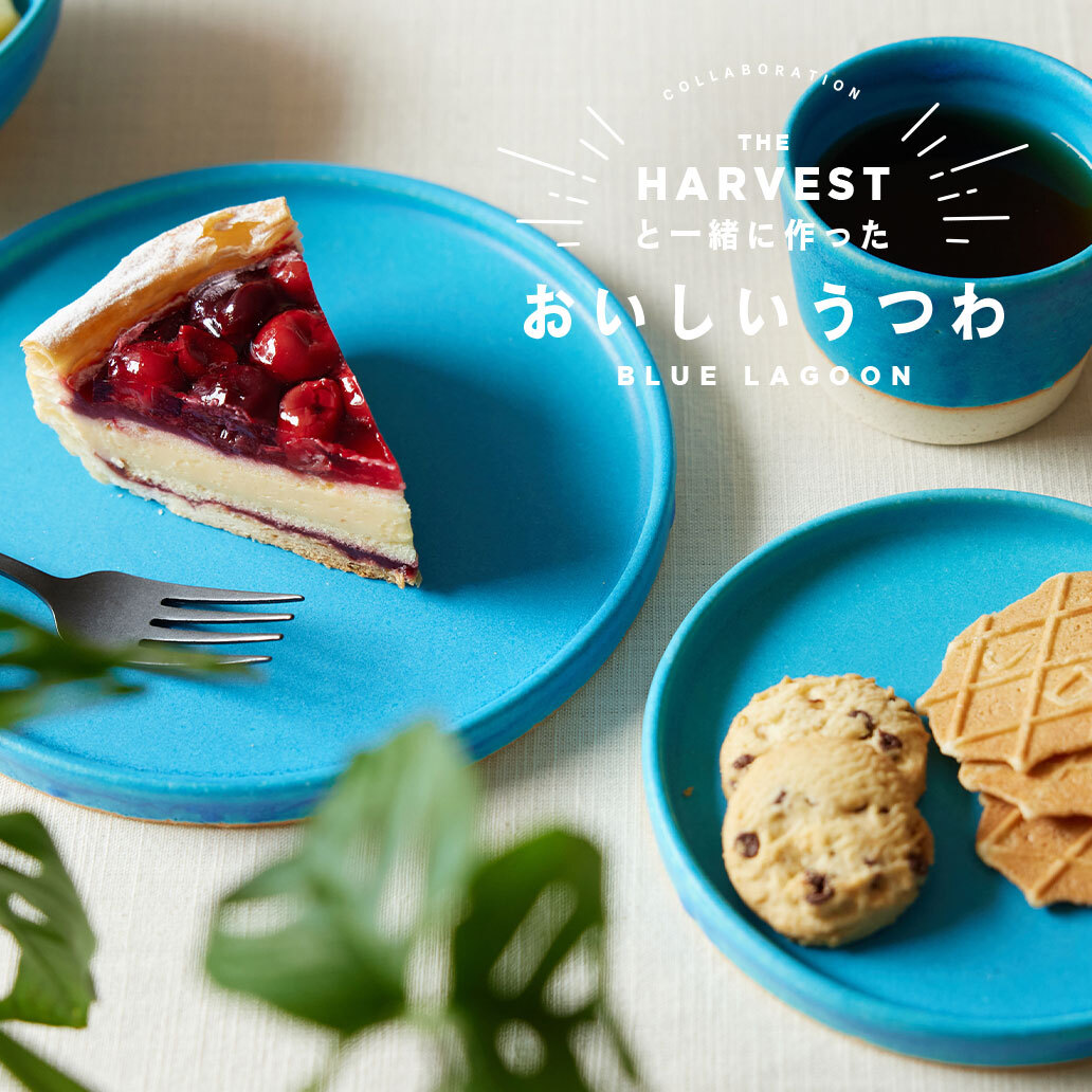 信楽焼のおいしいうつわ『ブルーラグーン』シリーズ