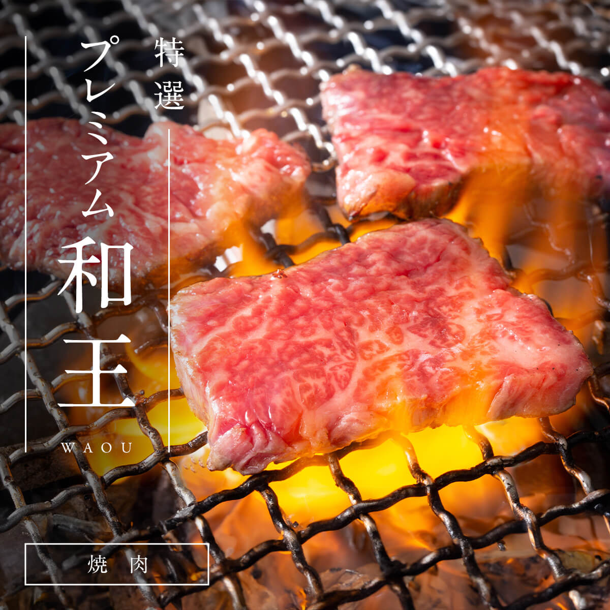 【熊本県産和王】和王特選 ロース・バラ焼肉 / 500g　10,000円（税込）