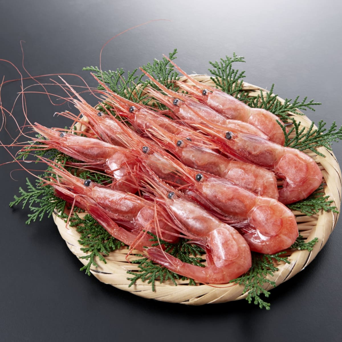 〈2025年売上ランキング 16位〉日本海 船凍甘えび（約40尾入り）〈今期分終了〉｜三方五湖セレクト