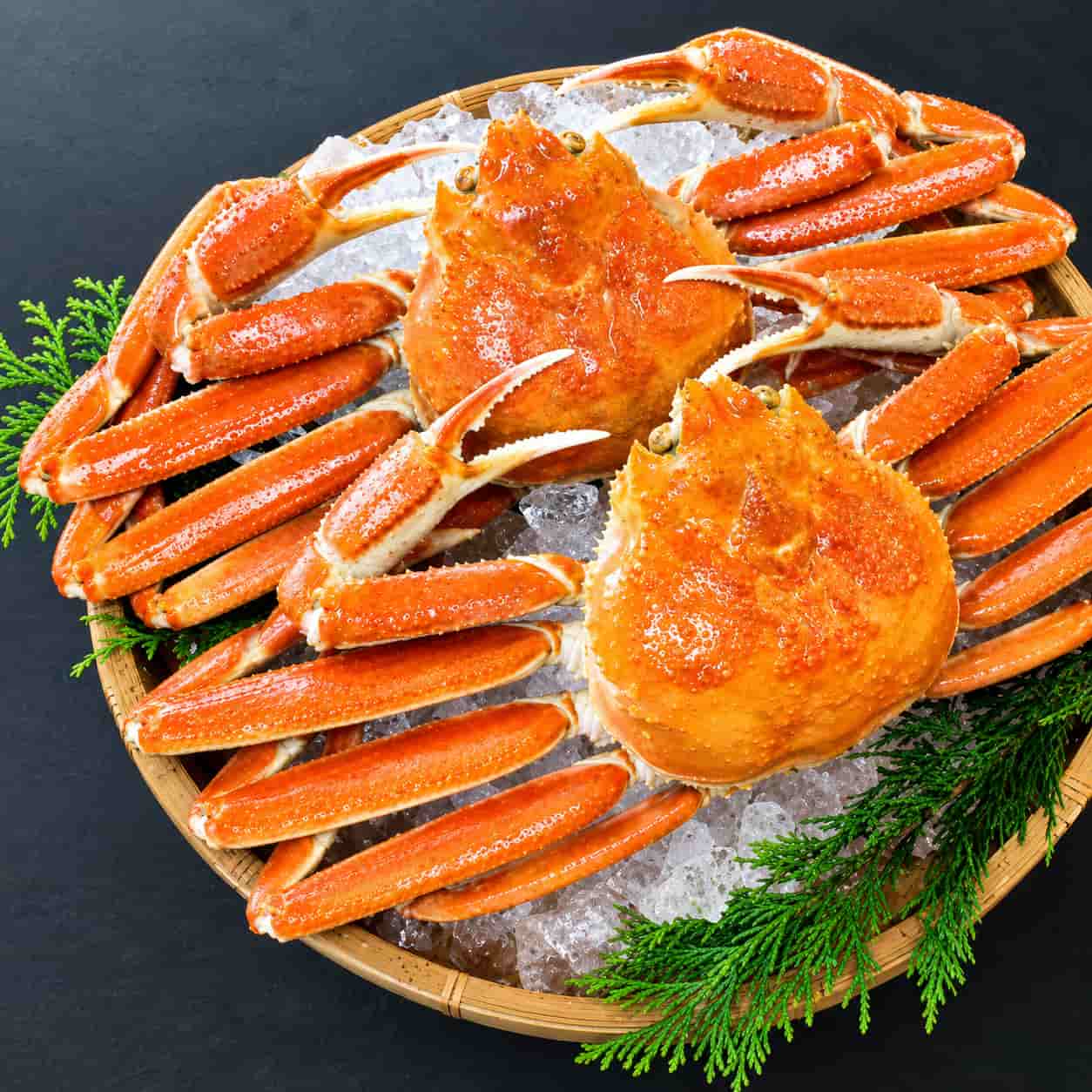 〈11月上旬出荷〉旨みぎっしり！ボイル済みズワイガニ 2杯セット ｜ザ グランリゾート城崎セレクト