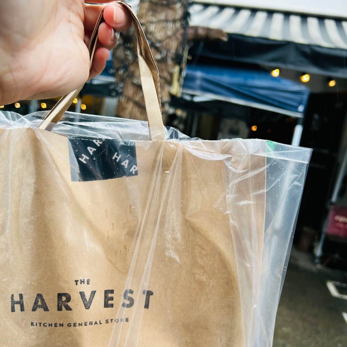 うつわ好きスタッフのTHE HARVEST 訪問記