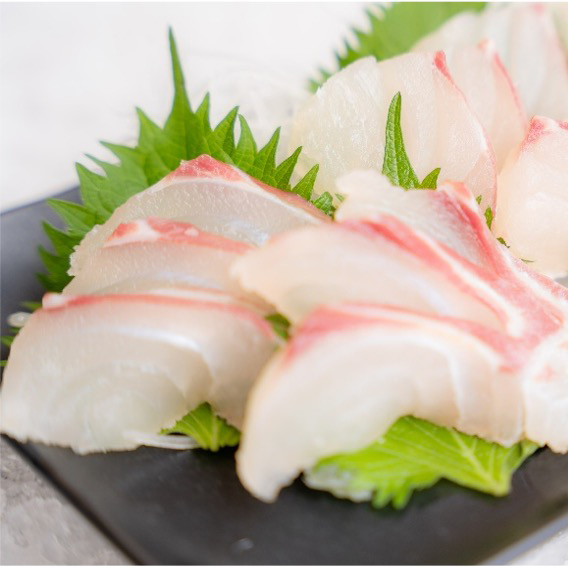 新鮮で上質な宇和島産 山崎真鯛お造りセット 600g ｜ザ グランリゾート近江舞子セレクト