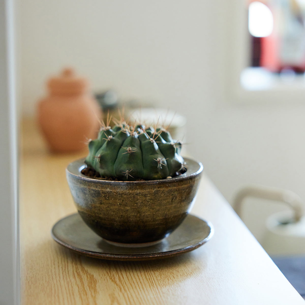 【オリジナル企画】使うたび、心がやわらぐうつわ