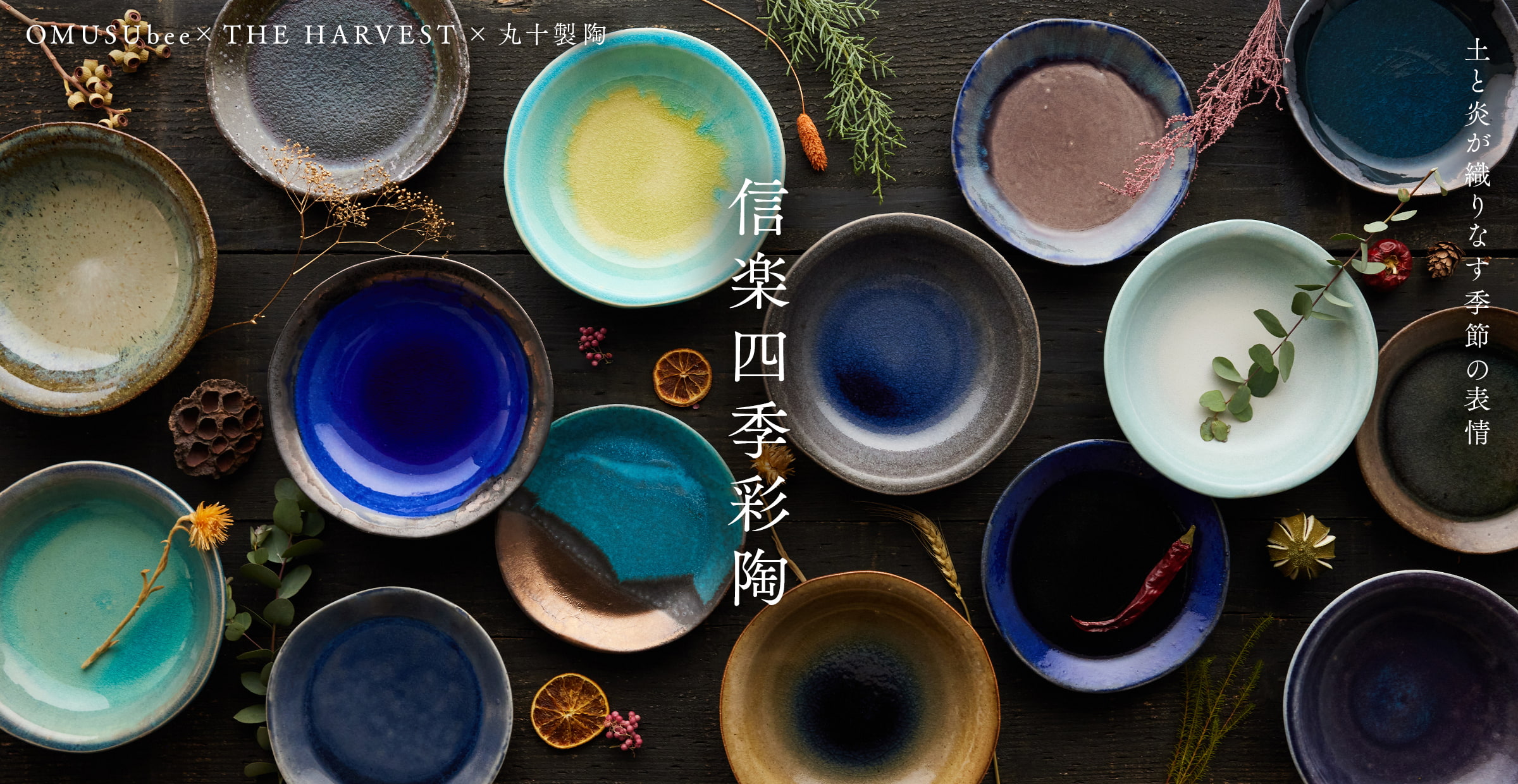 信楽焼の革命的うつわ『信楽四季彩陶』シリーズ
