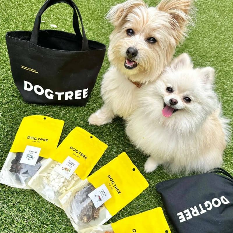 【DOG TREE】オリジナルお散歩バッグ