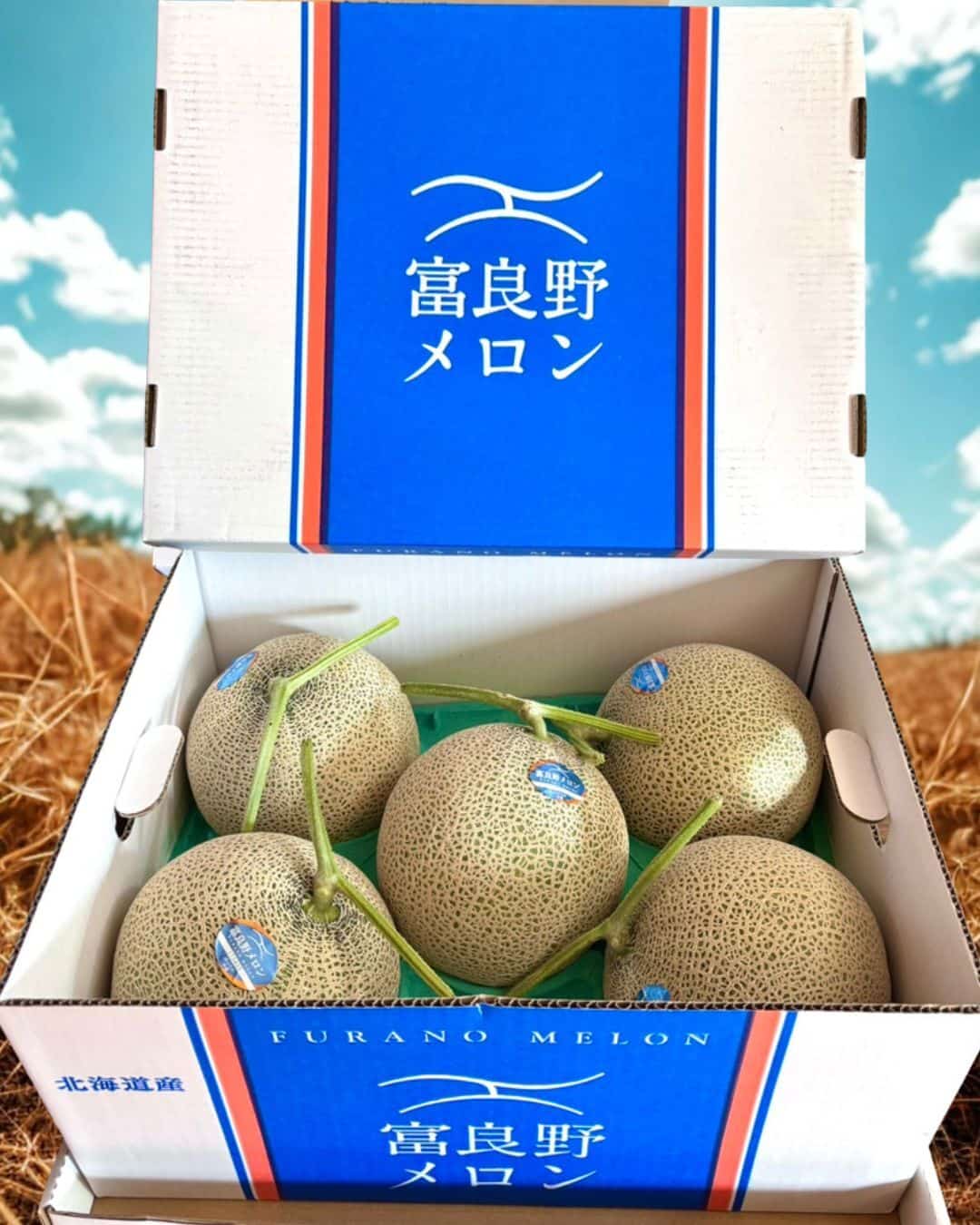 メロン02