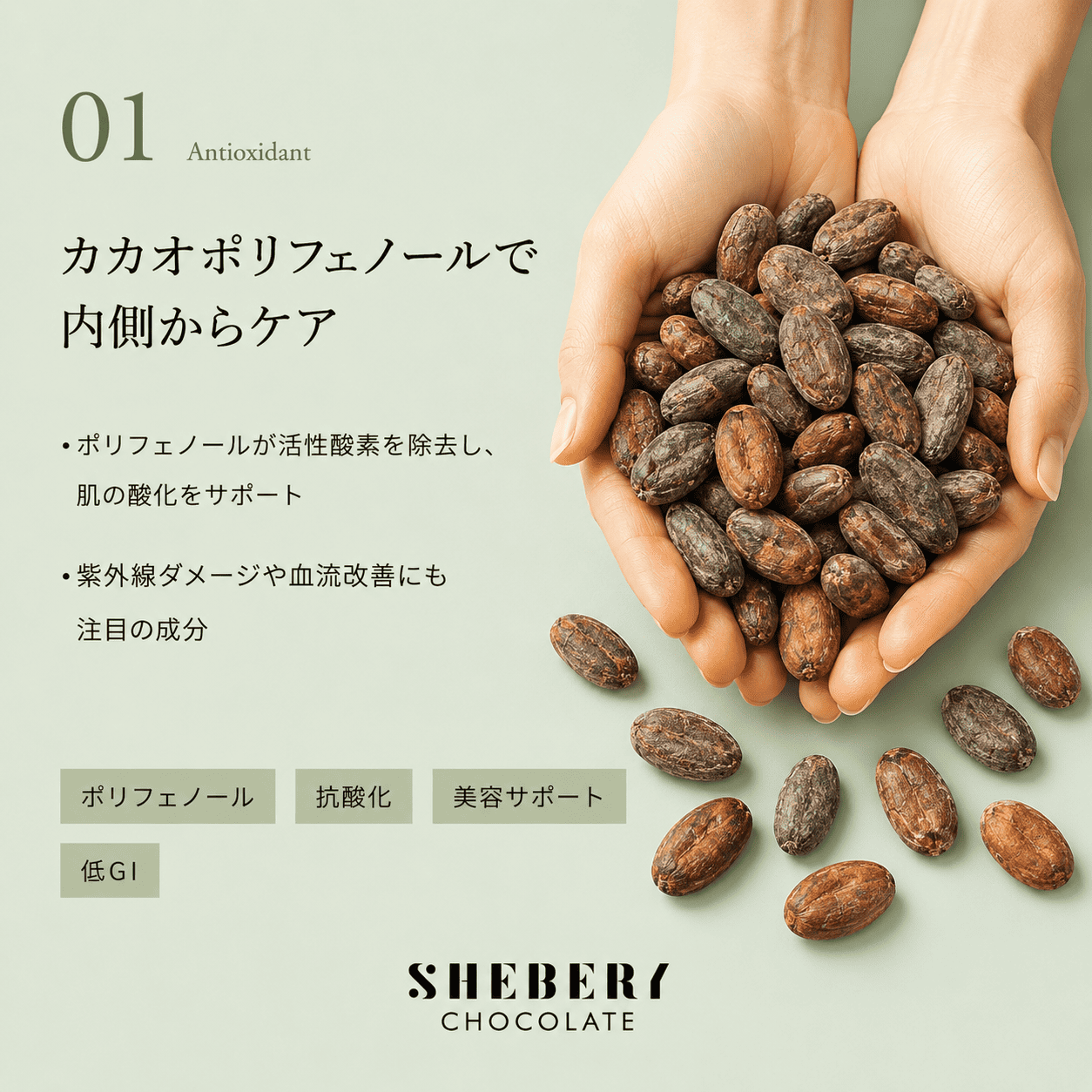 SHEBERY CHOCOLATE オススメセット