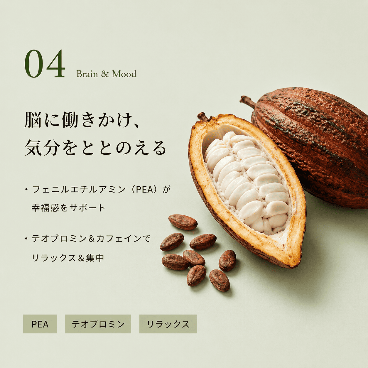 SHEBERY CHOCOLATE オススメセット