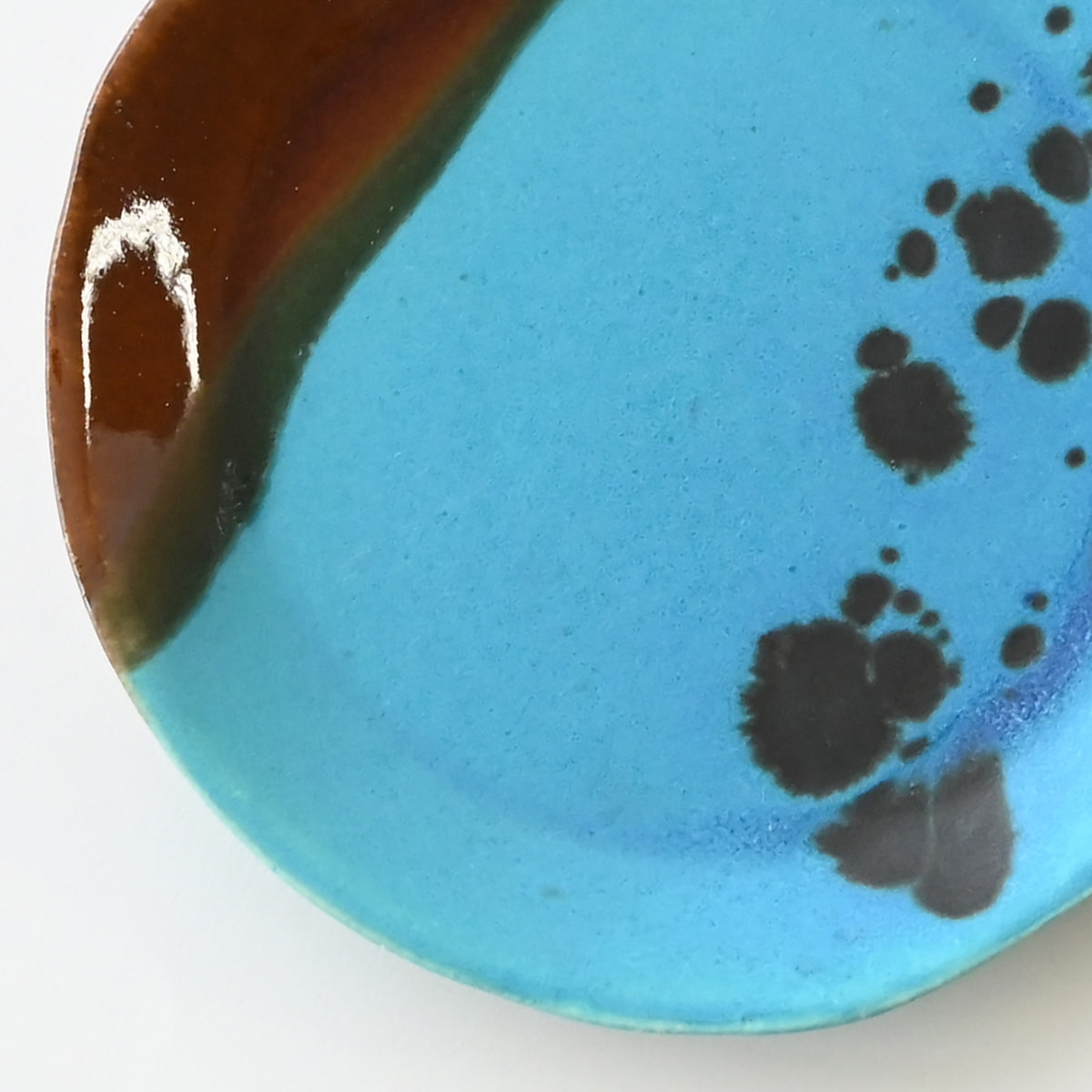 信楽イマジンImagine