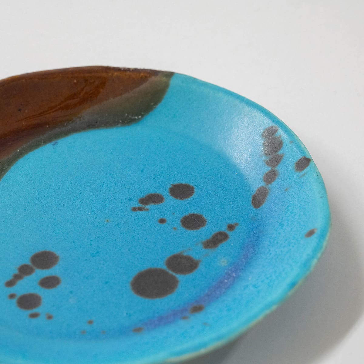 信楽イマジンImagine