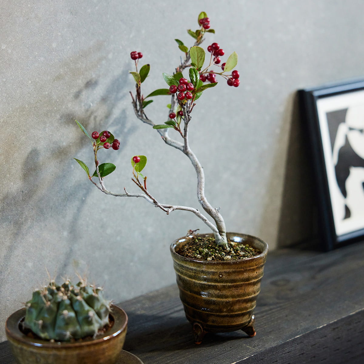 【信楽焼】ここち - KOKOCHI - 植木鉢