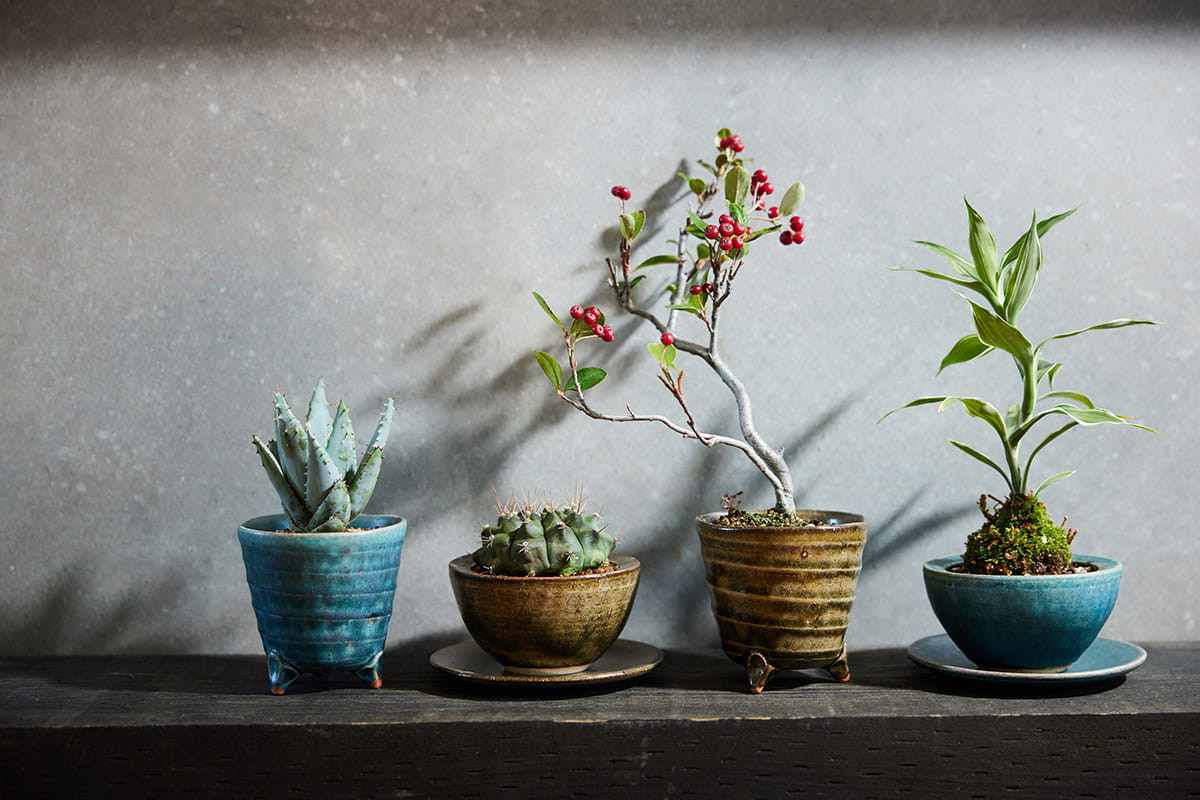 【信楽焼】ここち - KOKOCHI - 植木鉢