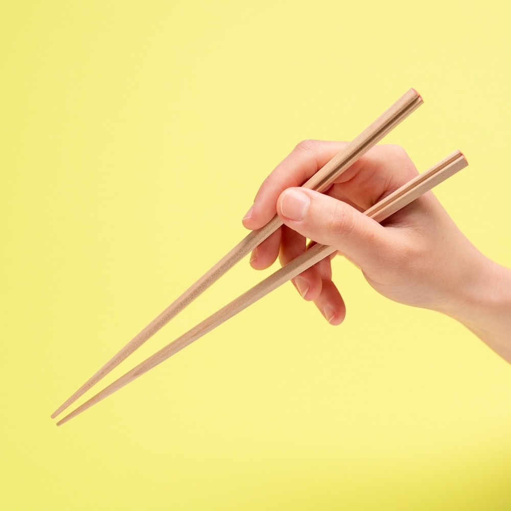 【箸蔵まつかん】GOROGORONYAN cat chopsticks 23cm（6色展開）