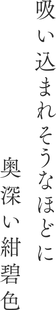 まるで氷のような凛とした表情