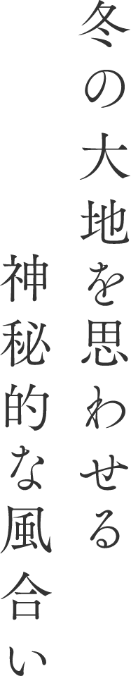 冬の大地を思わせる神秘的な風合い