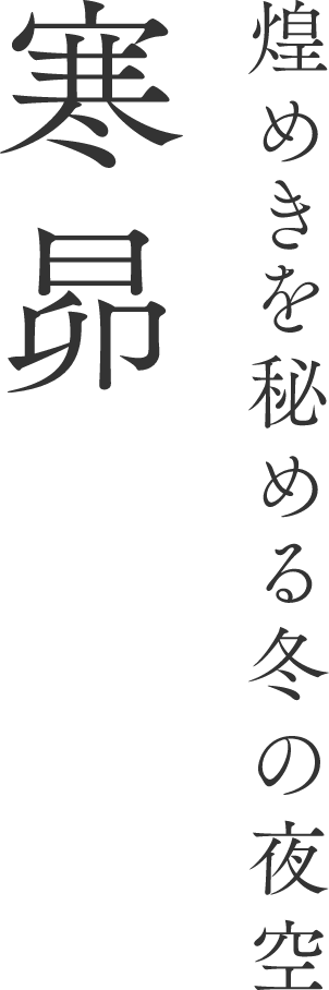 煌めきを秘める冬の星空 寒昴