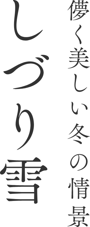 儚く美しい冬の情景 しづり雪