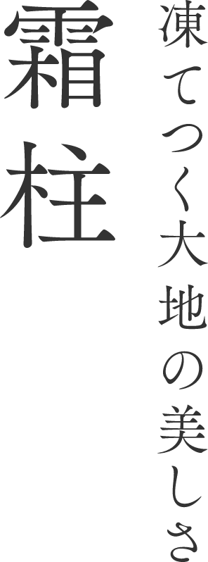 凍てつく大地の美しさ 霜柱