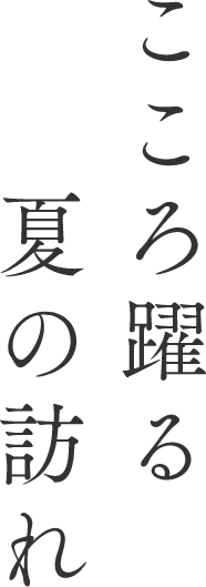 こころ踊る夏の訪れ