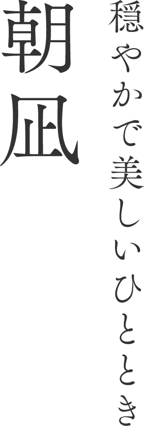 穏やかで美しいひととき 朝凪