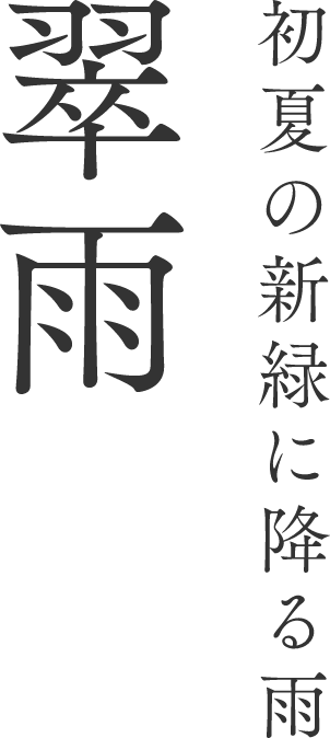 初夏の新緑に降る雨 翠雨