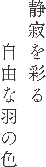静寂を彩る自由な羽の色