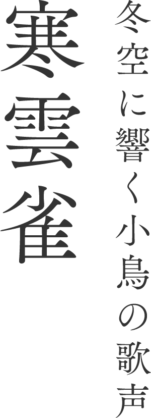 冬空に響く小鳥の歌声 寒雲雀