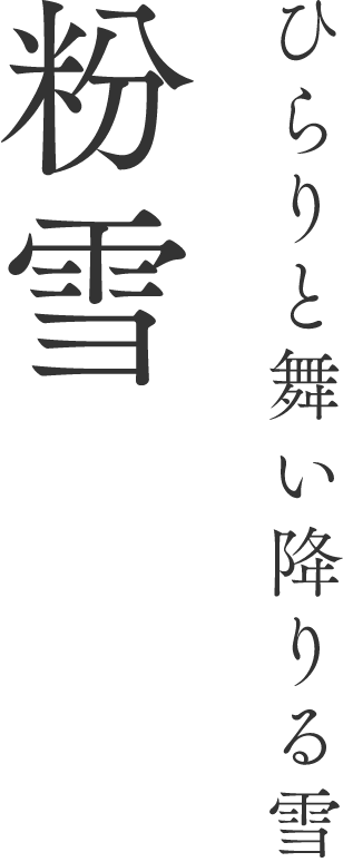 ひらりと舞い降りる雪 粉雪