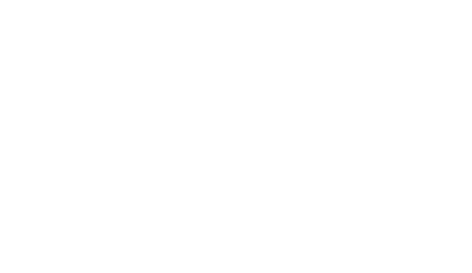 Toyameg×Japan Craft Collection