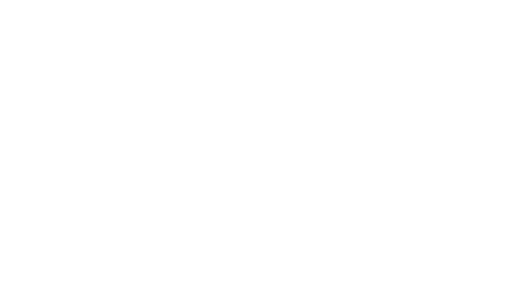Toyameg×Japan Craft Collection