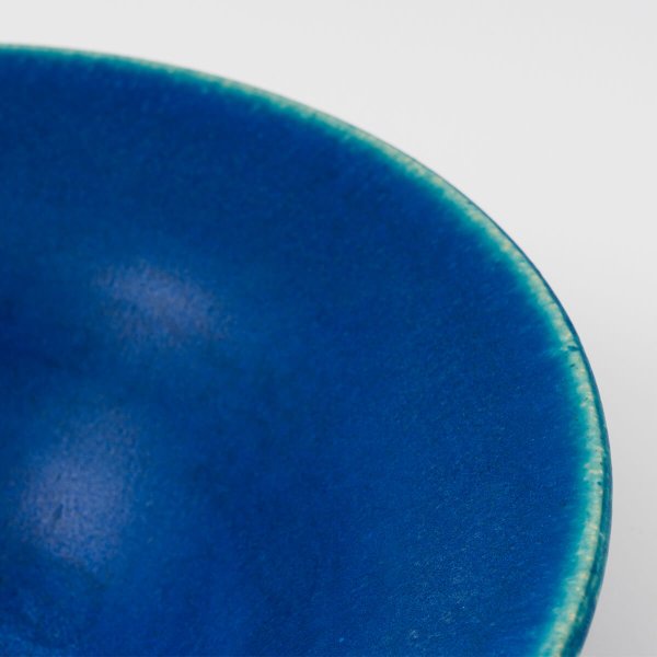 料理を引き立てる琵琶湖ブルーのリムボウル 24cm｜THE HARVEST - BLUE