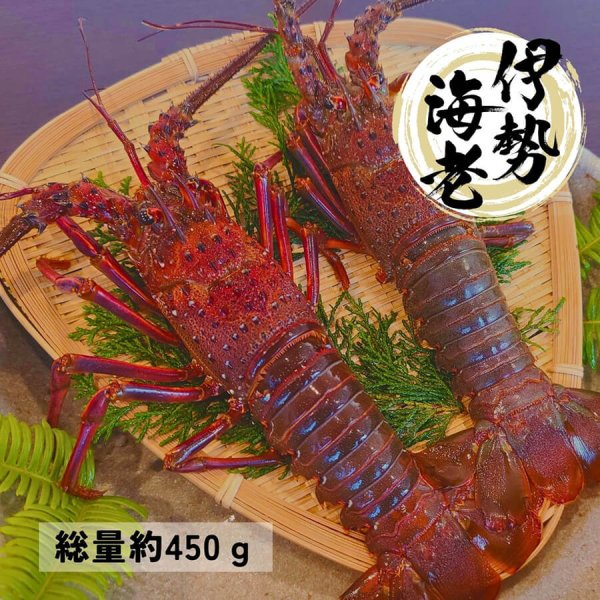 りゅうちゃんさん専用　伊勢海老竿 極上の海の恵み 三重・鳥羽志摩産 活け〆伊勢海老 2尾（約450g）冷凍